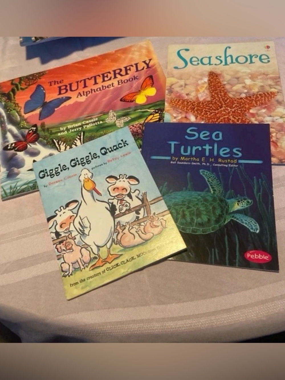 Lot of 17 Kids Book Bundle